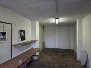 Prodej výrobních prostor, Pardubice - Pardubičky, Dělnická, 160 m2