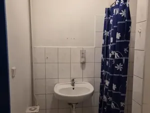 Prodej výrobních prostor, Pardubice - Pardubičky, Dělnická, 160 m2