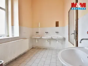 Pronájem obchodního prostoru, Plazy, 675 m2