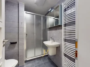 Prodej bytu 2+kk, Olomouc, Eduarda Hamburgera, 50 m2