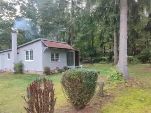 Prodej rodinného domu, Děpoltovice - Nivy, 34 m2
