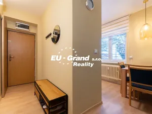 Prodej bytu 1+1, Ústí nad Labem - Ústí nad Labem-centrum, SNP, 29 m2