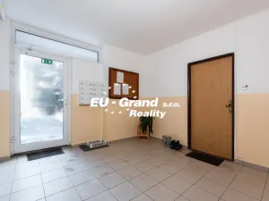 Prodej bytu 1+1, Ústí nad Labem - Ústí nad Labem-centrum, SNP, 29 m2