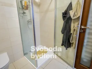 Prodej bytu 2+kk, Praha - Libeň, Prosecká, 67 m2