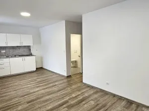 Pronájem bytu 1+kk, Brno - Maloměřice, Hády, 37 m2