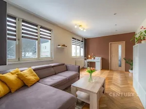 Prodej bytu 3+1, Most, Svážná, 68 m2