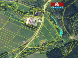 Prodej lesa, Stárkov, 640 m2