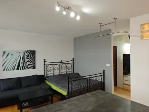 Pronájem bytu 1+kk, Praha - Braník, Jílovská, 41 m2