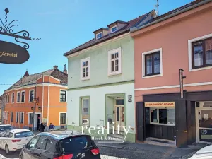 Prodej rodinného domu, Znojmo, Dolní Česká, 429 m2