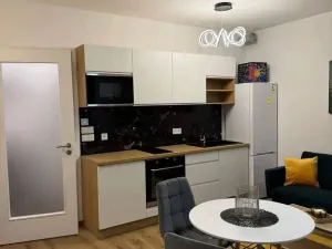 Pronájem bytu 1+kk, Praha - Žižkov, Olgy Havlové, 37 m2