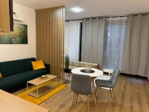 Pronájem bytu 1+kk, Praha - Žižkov, Olgy Havlové, 37 m2