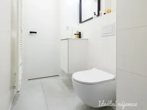 Pronájem bytu 1+kk, Praha - Vinohrady, Perucká, 25 m2