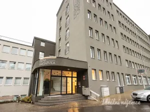 Pronájem bytu 1+kk, Praha - Vinohrady, Perucká, 25 m2