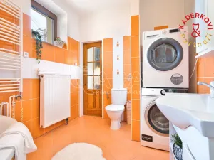 Prodej rodinného domu, Velké Opatovice, 167 m2