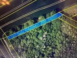 Prodej lesa, Březolupy, 910 m2