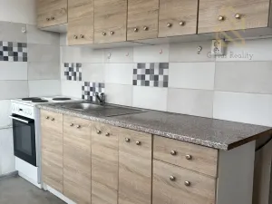 Pronájem bytu 2+1, Bílina - Teplické Předměstí, Antonína Sovy, 50 m2