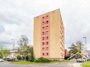 Pronájem bytu 1+kk, Český Brod, Palackého, 27 m2