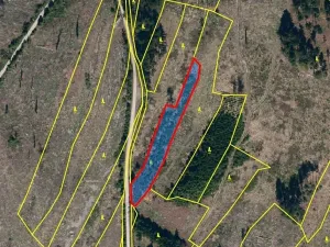 Prodej lesa, Jihlávka, 10463 m2