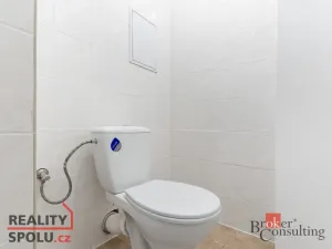 Pronájem bytu 2+kk, Mlékojedy, 54 m2