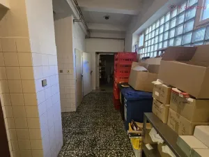 Prodej činžovního domu, Přerov - Přerov I-Město, Wilsonova, 480 m2