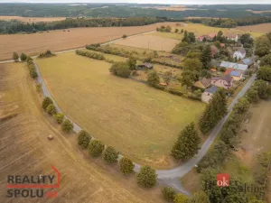 Prodej pozemku pro bydlení, Svojšín, 1094 m2