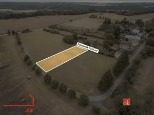 Prodej pozemku pro bydlení, Svojšín, 1094 m2