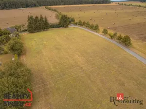 Prodej pozemku pro bydlení, Svojšín - Nynkov, 1179 m2