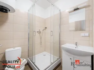 Pronájem bytu 1+kk, Mlékojedy, 47 m2