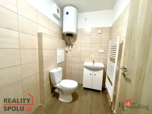 Pronájem bytu 1+kk, Mlékojedy, 47 m2