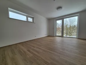 Pronájem bytu 1+kk, Třešť, Havlíčkova, 33 m2