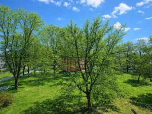 Pronájem bytu 2+1, Ostrava - Hrabůvka, Letecká, 56 m2