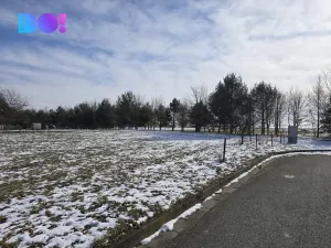 Prodej pozemku pro bydlení, Velké Albrechtice, 1067 m2