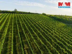 Prodej pole, Šardice, 56699 m2