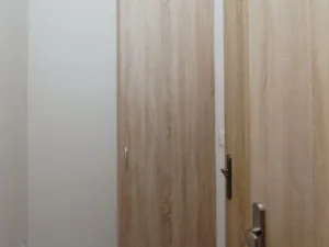 Prodej bytu 1+kk, Ostrava - Moravská Ostrava, Ahepjukova, 25 m2