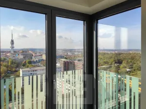 Pronájem bytu 2+kk, Praha - Žižkov, Olšanská, 66 m2