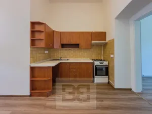 Pronájem bytu 1+1, Praha - Žižkov, Seifertova, 40 m2