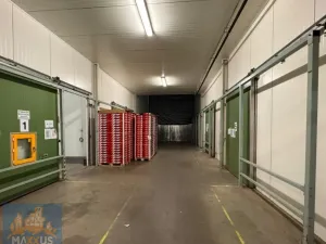 Pronájem skladu, Žižice - Vítov, 1762 m2