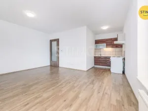 Prodej bytu 1+kk, Pardubice, Pod Vinicí, 40 m2