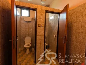 Prodej obchodního prostoru, Předslav, 494 m2