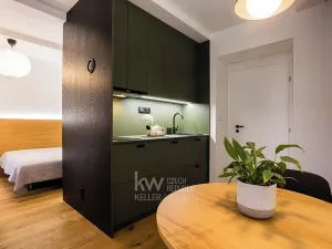 Pronájem bytu 2+kk, Praha - Dejvice, Studentská, 38 m2