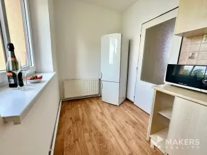 Pronájem bytu 1+1, Praha - Žižkov, U kněžské louky, 70 m2