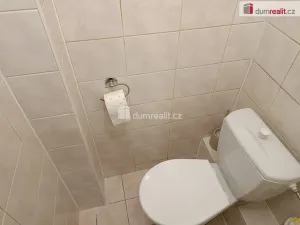 Pronájem bytu 4+1, Praha - Strašnice, Na Třebešíně, 91 m2