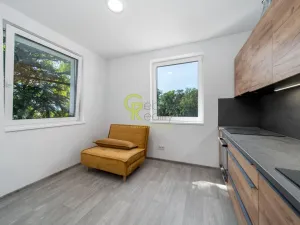 Prodej bytu 2+kk, Skorkov - Otradovice, 48 m2