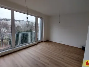 Pronájem bytu 1+kk, Brno - Staré Brno, 27 m2