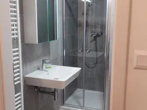 Pronájem bytu 1+kk, Brno - Staré Brno, 27 m2