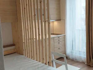 Pronájem bytu 1+kk, Brno - Staré Brno, 27 m2