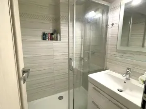 Pronájem bytu 2+1, Plzeň, Francouzská třída, 54 m2