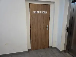 Pronájem bytu 2+kk, Praha, Za černým mostem, 50 m2