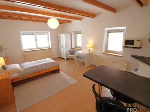 Pronájem bytu 1+kk, Brno, Pražská, 33 m2