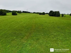 Prodej pozemku pro bydlení, Pulečný, 4466 m2